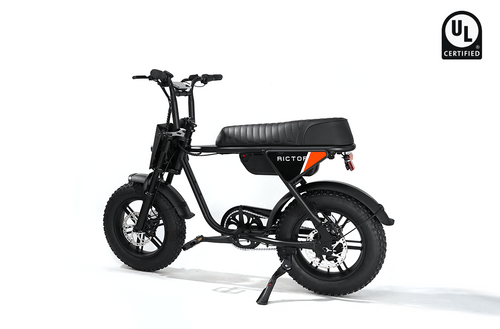 Flexx Ebike in black